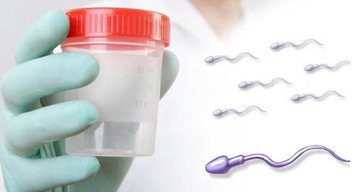 Спермограмма и mar test