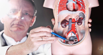 Кто такой врач андролог что он лечит