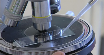 Расшифровка ЭМИС